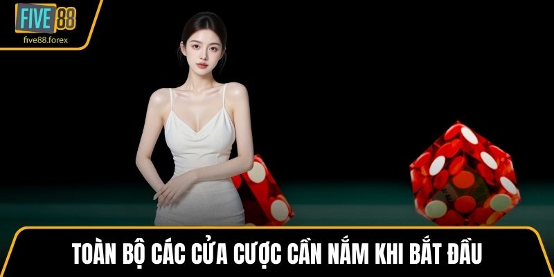 Toàn bộ các cửa cược cần nắm khi bắt đầu